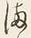 글자 ま