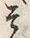글자 そ