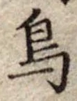 鳥 위치 확인됨