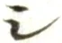 글자 シ