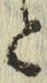 文字と