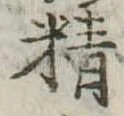 精 위치 확인됨