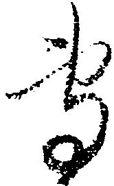 位置定マレル専