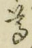 文字尊