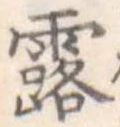 露 위치 확인됨