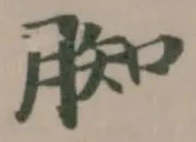 𦝔 위치 확인됨