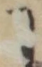 Located 𛂌