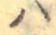 𛂞 위치 확인됨