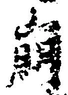 崩 위치 확인됨