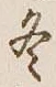 文字 冬