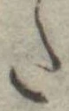 𛁠の位置