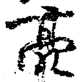 Đã định vị 亮