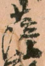 已定位薩