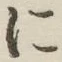 字に