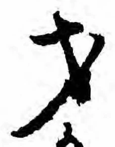 Đã định vị 才