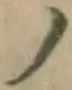 文字 ノ