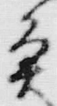 文字魚