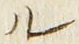 字ル