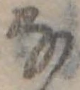 Đã định vị 𛂂