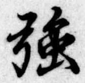 強 위치 확인됨