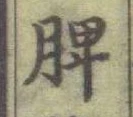 글자 脾