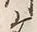 Character 川