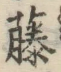 글자 藤