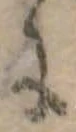 位置 確認된 𛂌