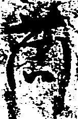 薗 위치 확인됨