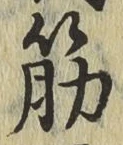 글자 筋