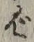 글자 ば