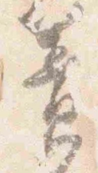 Đã định vị 簀