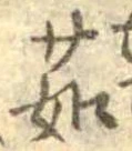 茹 위치 확인됨