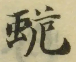 蛫の位置
