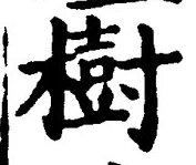글자 樹