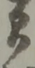 Đã định vị 貰