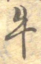 已定位牛