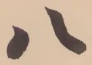 「八」字