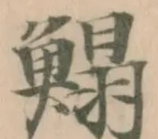 鰨 위치 확인됨
