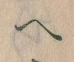 𛂹 위치 확인됨