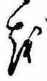 㐌定位𛄚
