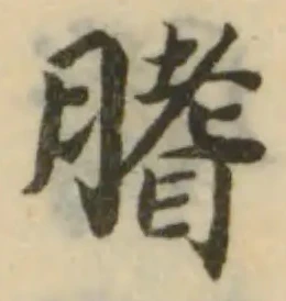 位置 確認된 𦞯