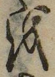 位置 確認된 𛄚