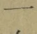 文字一