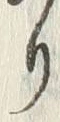 𡨸り