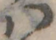 𛂞 위치 확인됨
