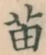 Chữ 苗