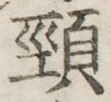 頸 위치 확인됨