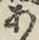 Character あ