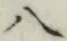 글자 八